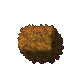 plant's hedge