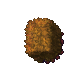 plant's hedge