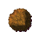 plant's hedge