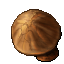 aquarius fungius