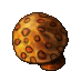 big mushroom