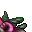 tainted plant