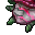 tainted plant
