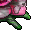 tainted plant