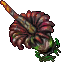 witches cauldron plant