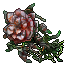 tainted plant