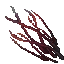necrotic grass