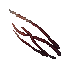 necrotic grass