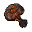 apocalypse mushroom