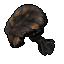 mourning mushroom