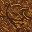 dried grass