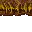 dry grass
