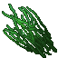 high grass