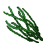 high grass