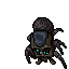 Gloom Widow