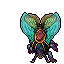 Lacewing Moth