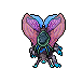Hibernal Moth