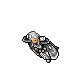 Moth Cape
