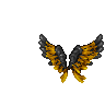 Soar