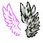 Duality
