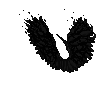 Dark