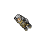 Draccoon Herald