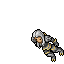 Draccoon Herald