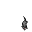 Cave Rat