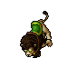 Noble Lion