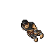 Arena Champion