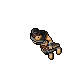 Arena Champion