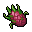 Dragonfruit